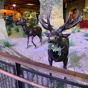 Meet your Posher, Rob